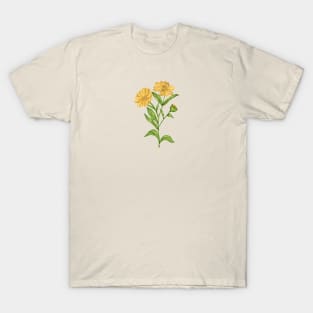 Calendula Plant Botancial T-Shirt